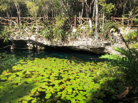 Parque De Cenotes Yax-Muul